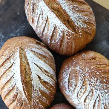 Urbain en région Alsace Urbain en région Alsace