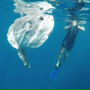 Alpes Maritimes (06) PACA et Corse - Sport Aquatique Alpes Maritimes (06) PACA et Corse - Sport Aquatique