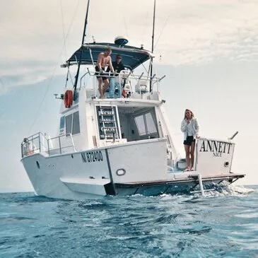 Réserver Balade en Bateau pour voir les Dauphins en PACA et Corse Réserver Balade en Bateau pour voir les Dauphins en PACA et Corse