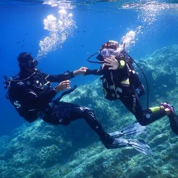 Baptême de plongée proche Calvi