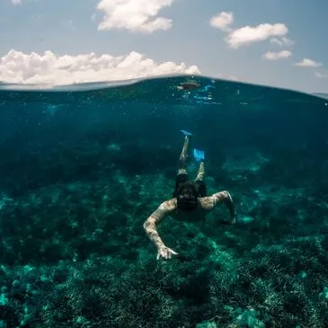 Randonnée Palmée à Calvi Randonnée Palmée à Calvi