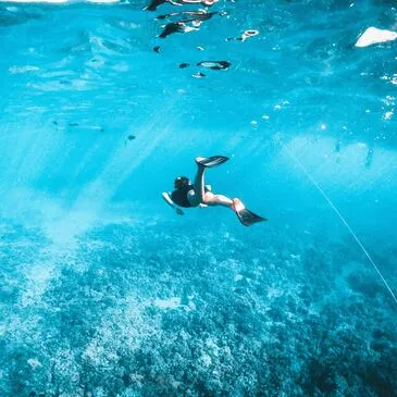 Randonnée Palmée à Calvi en région PACA et Corse Randonnée Palmée à Calvi en région PACA et Corse