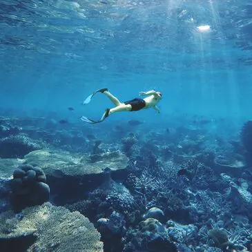 Réserver Snorkeling département Haute Corse Réserver Snorkeling département Haute Corse