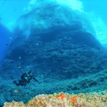 Baptême de plongée dans les Calanques de Marseille Baptême de plongée dans les Calanques de Marseille