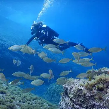 Brevet de Plongée CMAS Niveau 1 à Calvi Brevet de Plongée CMAS Niveau 1 à Calvi