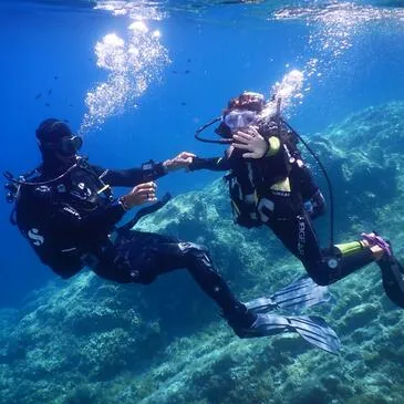 Brevet de Plongée Sous Marine en région PACA et Corse Brevet de Plongée Sous Marine en région PACA et Corse
