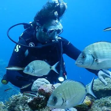 Brevet de Plongée Sous Marine proche Calvi Brevet de Plongée Sous Marine proche Calvi