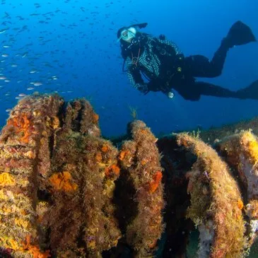 Sport Aquatique en région PACA et Corse Sport Aquatique en région PACA et Corse