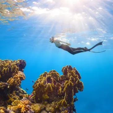 Balade en bateau et Snorkeling à Menton Balade en bateau et Snorkeling à Menton