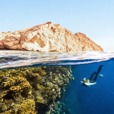 Alpes Maritimes (06) PACA et Corse - Sport Aquatique Alpes Maritimes (06) PACA et Corse - Sport Aquatique