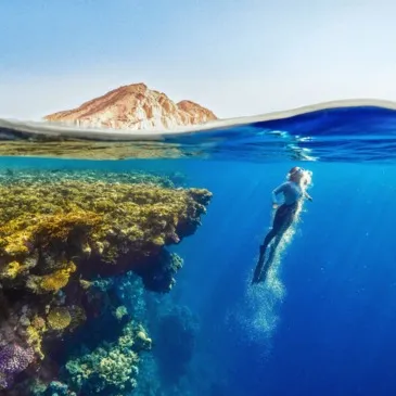 Sport Aquatique en région PACA et Corse Sport Aquatique en région PACA et Corse