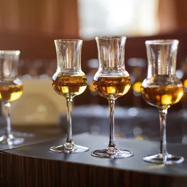 Cours d'œnologie en région Rhône-Alpes Cours d'œnologie en région Rhône-Alpes