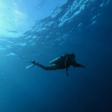 Baptême de plongée, département Pyrénées orientales Baptême de plongée, département Pyrénées orientales