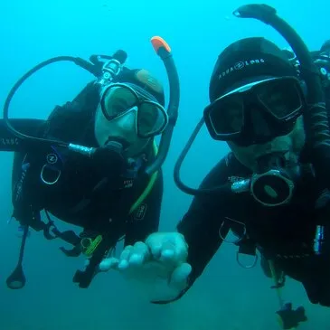 Argelès-sur-Mer, Pyrénées orientales (66) - Baptême de plongée Argelès-sur-Mer, Pyrénées orientales (66) - Baptême de plongée