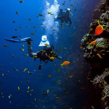 Baptême de plongée, département Pyrénées orientales Baptême de plongée, département Pyrénées orientales