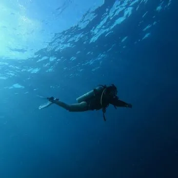 Argelès-sur-Mer, Pyrénées orientales (66) - Baptême de plongée Argelès-sur-Mer, Pyrénées orientales (66) - Baptême de plongée