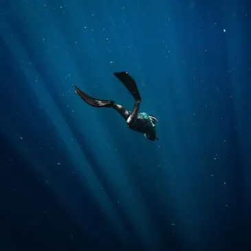 Baptême de plongée proche Argelès-sur-Mer Baptême de plongée proche Argelès-sur-Mer