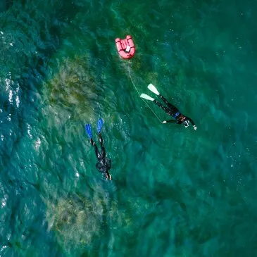 Randonnée Palmée près de Collioure à Argelès-sur-Mer Randonnée Palmée près de Collioure à Argelès-sur-Mer