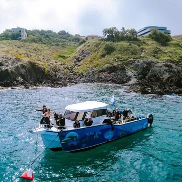Snorkeling en région Languedoc-Roussillon Snorkeling en région Languedoc-Roussillon