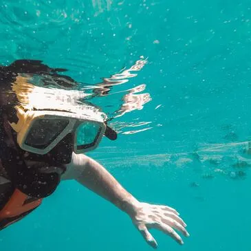 Argelès-sur-Mer, Pyrénées orientales (66) - Snorkeling Argelès-sur-Mer, Pyrénées orientales (66) - Snorkeling