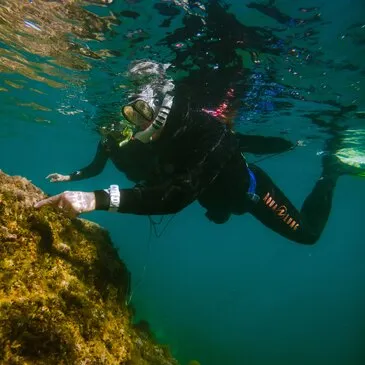 Randonnée Palmée près de Collioure à Argelès-sur-Mer en région Languedoc-Roussillon Randonnée Palmée près de Collioure à Argelès-sur-Mer en région Languedoc-Roussillon