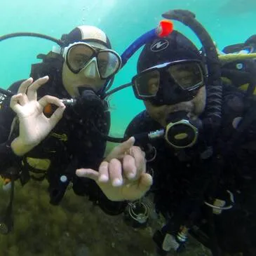 Brevet de Plongée près de Collioure à Argelès-sur-Mer Brevet de Plongée près de Collioure à Argelès-sur-Mer