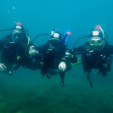 Brevet de Plongée près de Collioure à Argelès-sur-Mer en région Languedoc-Roussillon Brevet de Plongée près de Collioure à Argelès-sur-Mer en région Languedoc-Roussillon