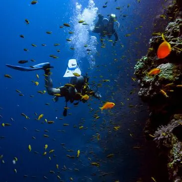 Réserver Brevet de Plongée Sous Marine en Languedoc-Roussillon Réserver Brevet de Plongée Sous Marine en Languedoc-Roussillon