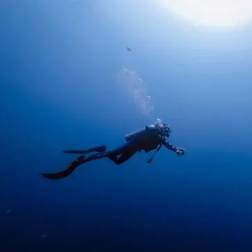 Initiation à la Plongée à Carnac - Baie de Quiberon Initiation à la Plongée à Carnac - Baie de Quiberon