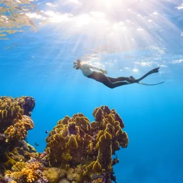 Baptême de plongée en région Bretagne Baptême de plongée en région Bretagne