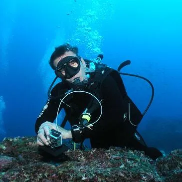 Initiation à la Plongée à Carnac - Baie de Quiberon en région Bretagne Initiation à la Plongée à Carnac - Baie de Quiberon en région Bretagne