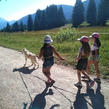 Balade en Cani-Rando près d'Annecy Balade en Cani-Rando près d'Annecy