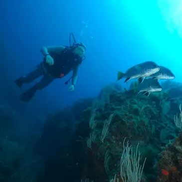 Pyrénées orientales (66) Languedoc-Roussillon - Sport Aquatique Pyrénées orientales (66) Languedoc-Roussillon - Sport Aquatique