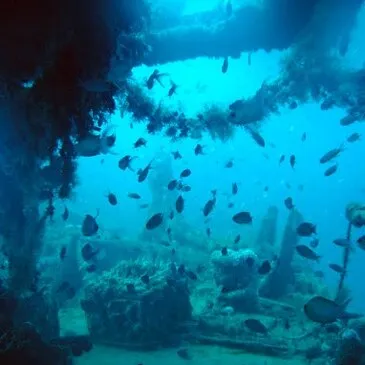 Saint-Cyprien, Pyrénées orientales (66) - Baptême de plongée Saint-Cyprien, Pyrénées orientales (66) - Baptême de plongée