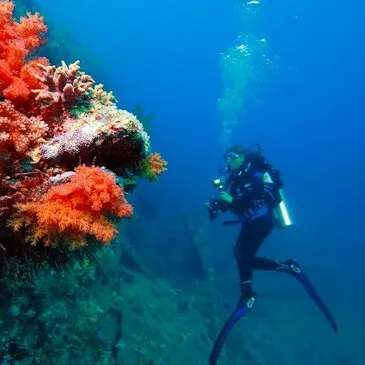 Initiation à la Plongée à Saint-Cyprien près de Perpignan en région Languedoc-Roussillon Initiation à la Plongée à Saint-Cyprien près de Perpignan en région Languedoc-Roussillon