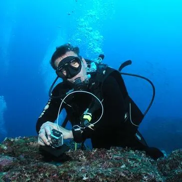 Brevet de Plongée à Carnac - Baie de Quiberon Brevet de Plongée à Carnac - Baie de Quiberon