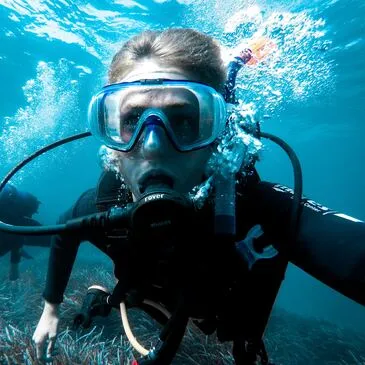 Brevet de Plongée Sous Marine en région Bretagne Brevet de Plongée Sous Marine en région Bretagne