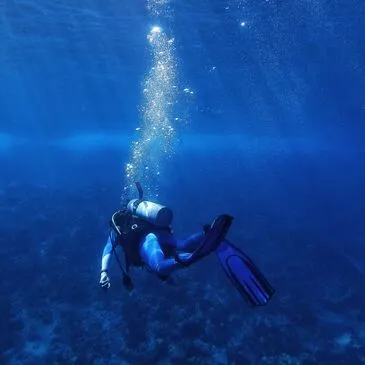 Carnac, Morbihan (56) - Brevet de Plongée Sous Marine Carnac, Morbihan (56) - Brevet de Plongée Sous Marine