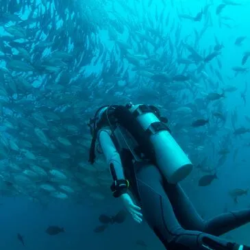 Brevet de Plongée Sous Marine proche Carnac Brevet de Plongée Sous Marine proche Carnac
