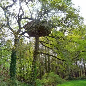Cabane dans les Arbres avec Spa près de Carnac en région Bretagne Cabane dans les Arbres avec Spa près de Carnac en région Bretagne