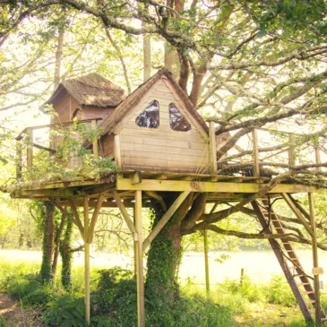 Cabane Familiale dans les Arbres avec Spa près de Carnac Cabane Familiale dans les Arbres avec Spa près de Carnac