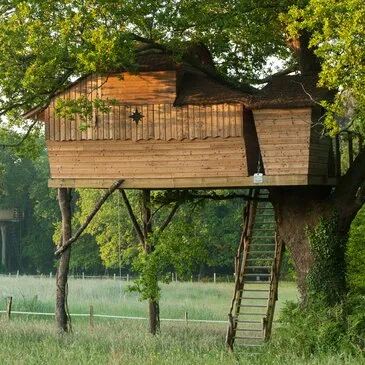 Cabane Familiale dans les Arbres avec Spa près de Carnac en région Bretagne