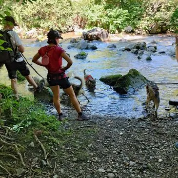 Boutx, à 25 min de Bagnères-de-Luchon, Haute Garonne (31) - Chien de Traîneau Boutx, à 25 min de Bagnères-de-Luchon, Haute Garonne (31) - Chien de Traîneau