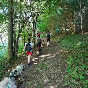 Balade en Cani-Rando près de Bagnères-de-Luchon en région Midi-Pyrénées Balade en Cani-Rando près de Bagnères-de-Luchon en région Midi-Pyrénées