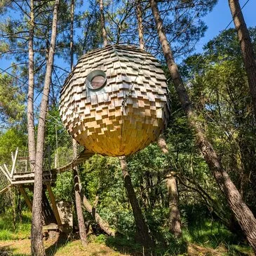 Nuit en Lov'Nid avec Spa près de Carnac Nuit en Lov'Nid avec Spa près de Carnac