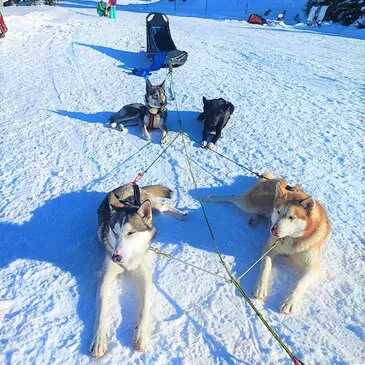 Haute Garonne (31) Midi-Pyrénées - Montagne - Sports d'Hiver Haute Garonne (31) Midi-Pyrénées - Montagne - Sports d'Hiver