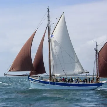 Offrir Balade en bateau département Morbihan Offrir Balade en bateau département Morbihan
