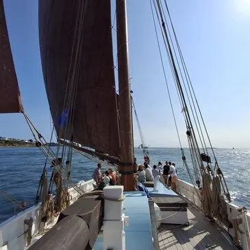 Réserver Balade en bateau département Morbihan Réserver Balade en bateau département Morbihan