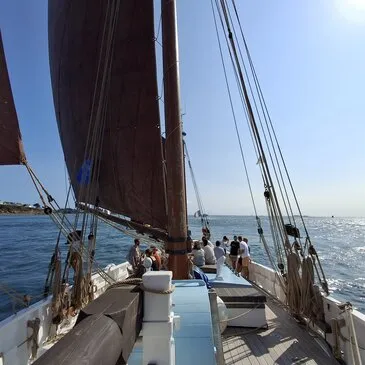 Offrir Balade en bateau département Morbihan Offrir Balade en bateau département Morbihan