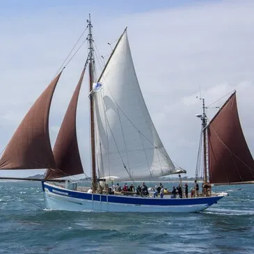 Balade en bateau, département Morbihan Balade en bateau, département Morbihan
